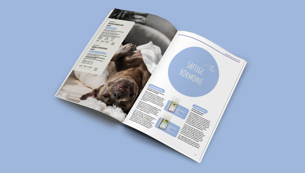 Magazin_Masterdog_Innenseite3_boccalu_Design