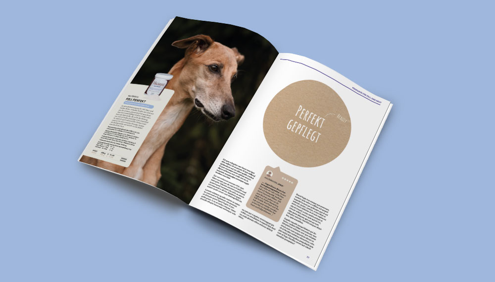 Magazin_Masterdog_Innenseite_boccalu_Design